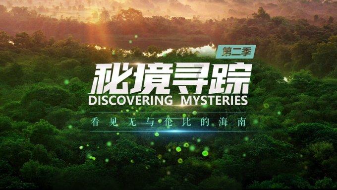 小艾比摄影家
